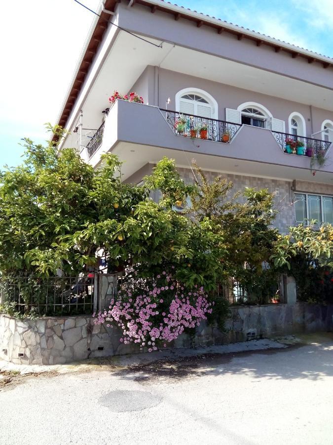 Vonitsa Loft Apartment 1 Exterior photo
